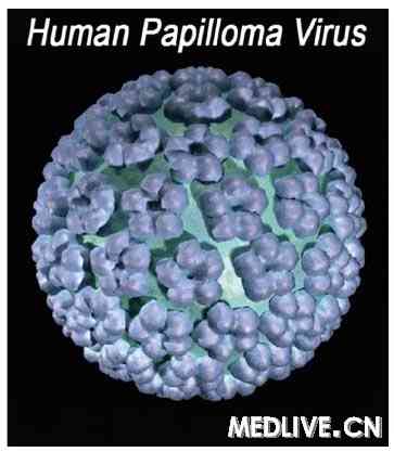 fda批准hpv新检测方法_hpv_检测_medlive.cn