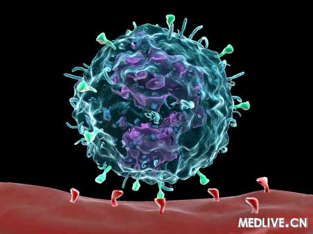 外周血单核细胞亚群可预测慢性丙肝治疗效果