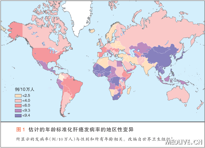 图1 估计的年龄标准化肝癌发病率的地区性差异