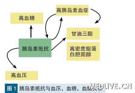 糖尿病应视为"以高血糖为显著特征"的多个心血管危险因素聚集的综合征