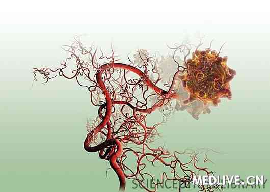 肿瘤血管生成机制的新发现_肿瘤_血管生成_机