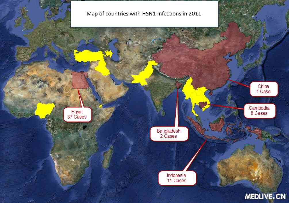 公众低估了H5N1的普遍性,高估了其致死性
