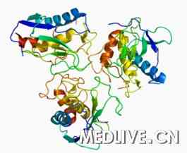 梅奥诊所研究人员发现肺癌关键基因_肺癌_基质金属蛋白酶-10_MMP-10_癌症干细胞_medlive.cn