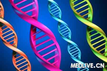 nejm:肿瘤进化论_癌症起因_基因组学_肾癌_肿