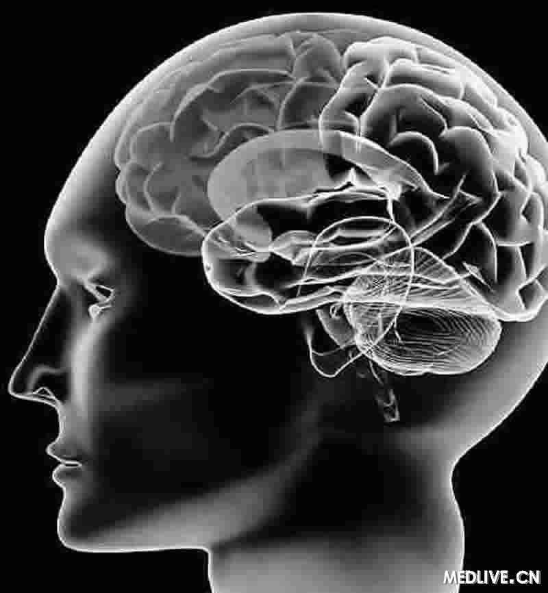 举办国际脑图谱学会科学年会_脑图谱_精神疾