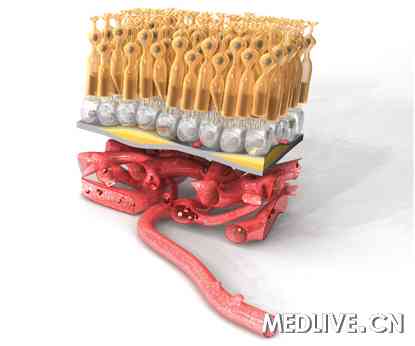 黎晓新:眼内抗血管生成药物临床应用的利与弊