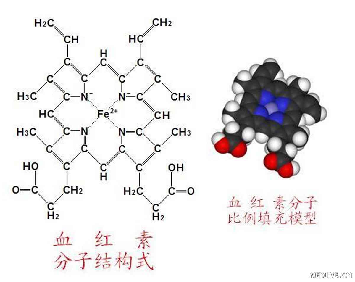 nature:发现调节血红素合成的特定基因