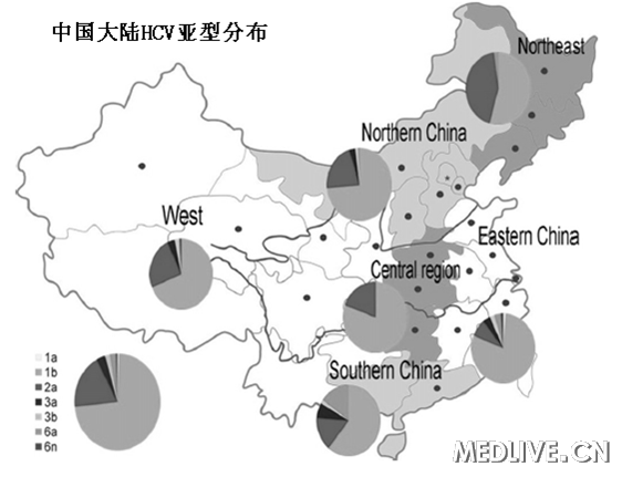 中国大陆HCV亚型分布 中国大陆HCV亚型分布 地坛医院