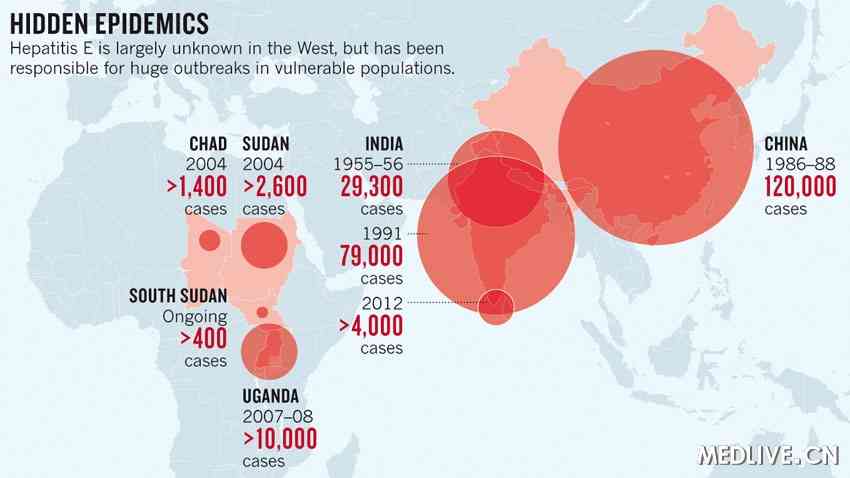 中国戊肝疫苗--为预防带来希望_戊肝流行病学
