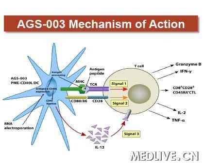 转移性肾细胞癌AGS-003个性化免疫治疗_转移