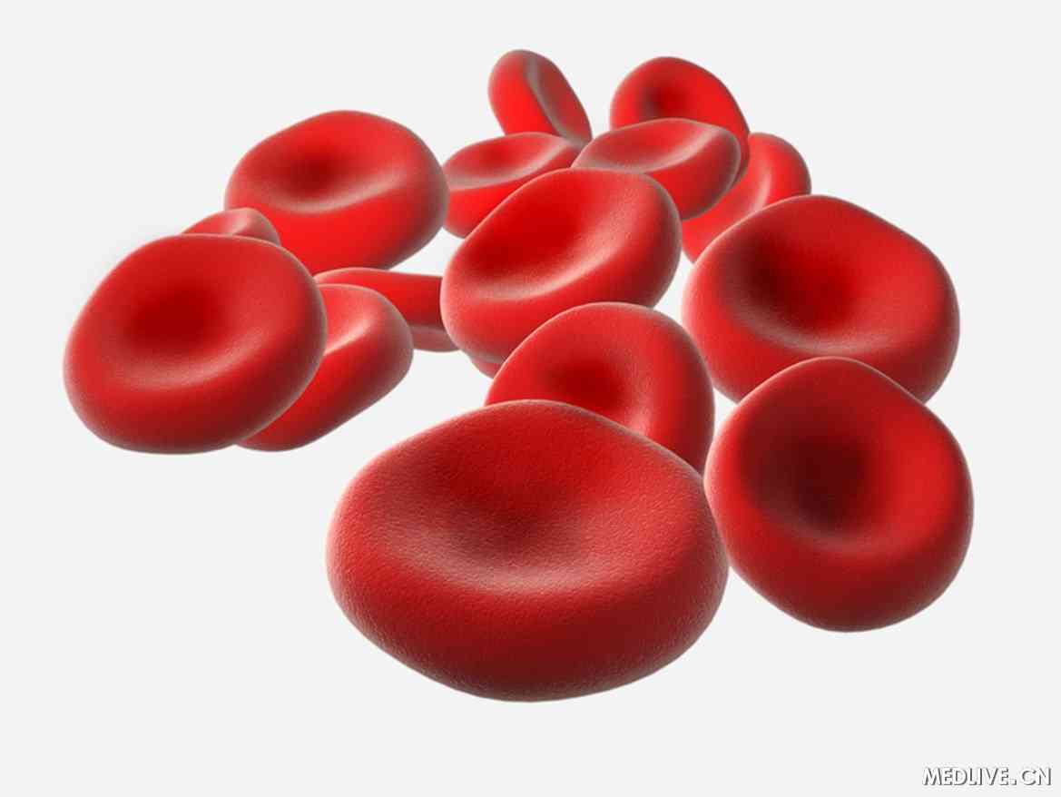 clipart blood cells - photo #10