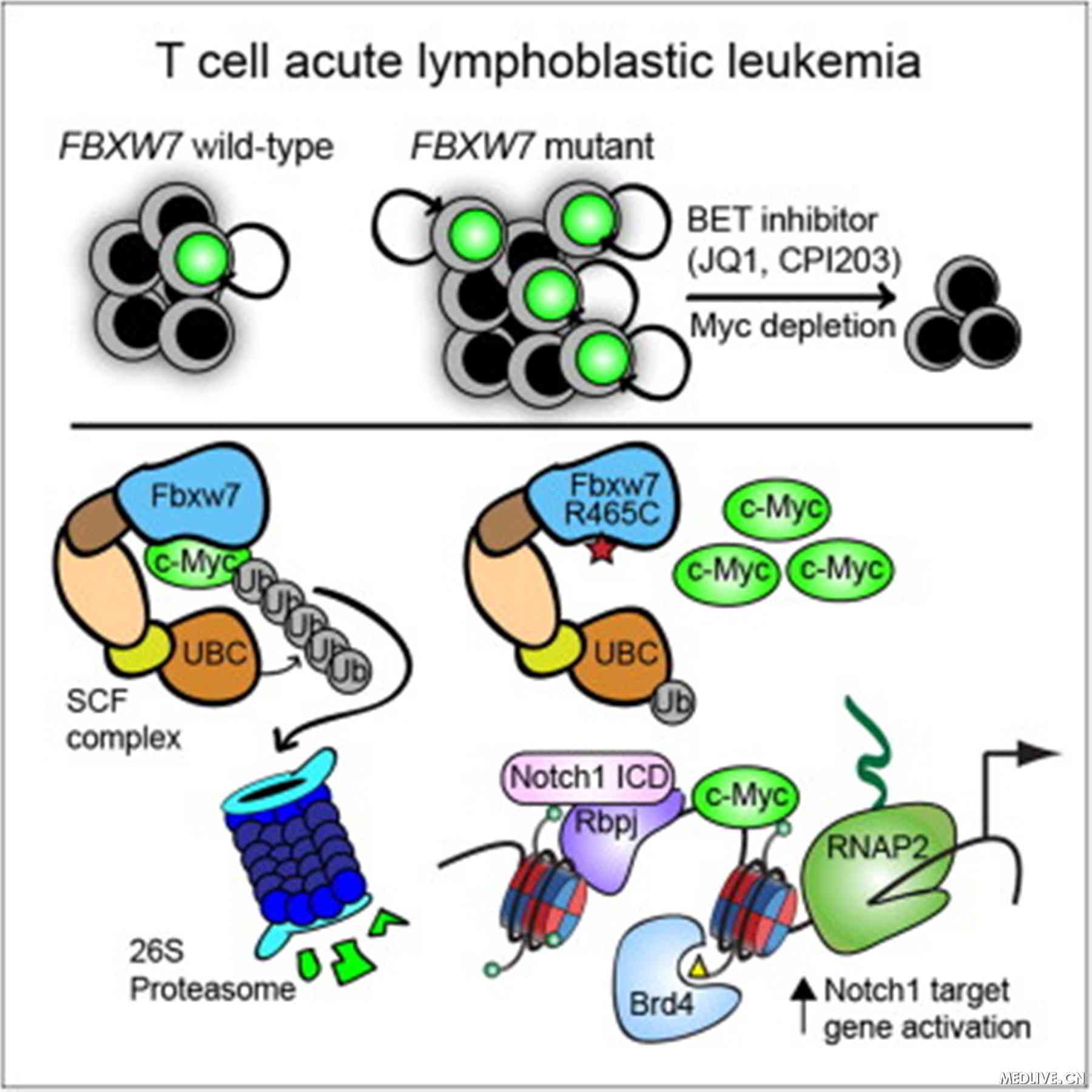 yy.vip易游-财务分析｜第26讲 商誉排雷：识别商誉减值陷阱避开业绩洗澡的坑