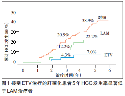 接受ETV治疗的肝硬化患者5年HCC发生率显著低于LAM治疗者