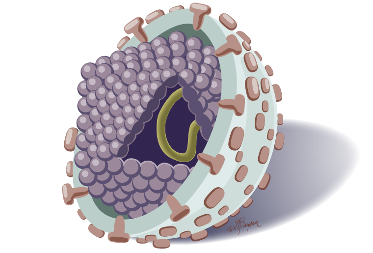 重点出击:丙肝高危患者的筛查