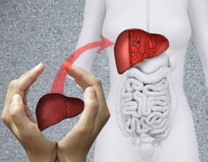 恩替卡韦和HBIG在慢性乙型肝炎肝移植患者中的应用