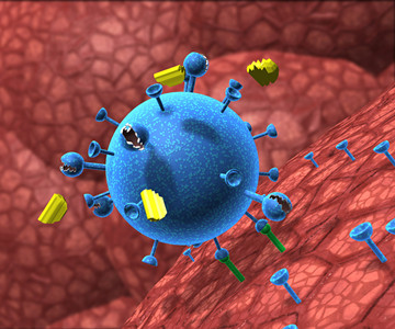 NEJM:无干扰素治疗基因1型HCV感染有一定效果