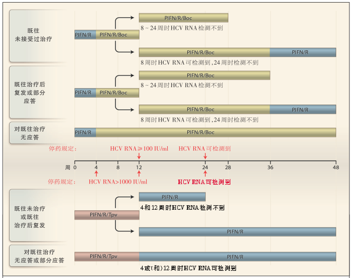 图 2 以博赛泼维和特拉泼维为基础的方案治疗 HCV 感染
