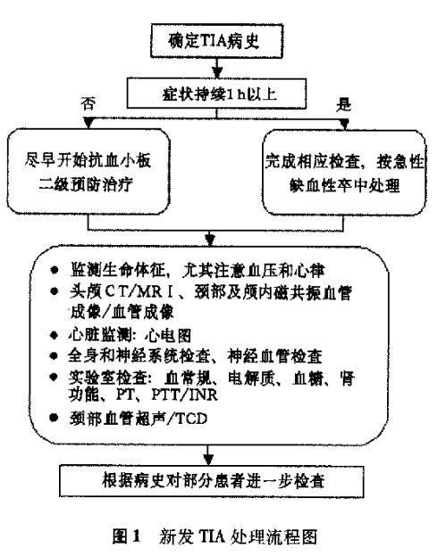 毕齐:短暂性脑缺血发作与溶栓治疗