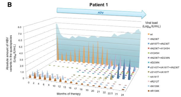 【Hepatology】运用焦磷酸测序动态观察ADV耐药的HBV准种变化.png