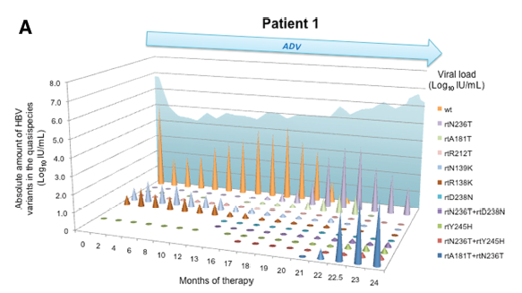 【Hepatology】运用焦磷酸测序动态观察ADV耐药的HBV准种变化.png