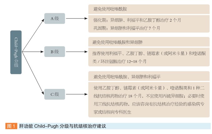 抗结核药物相关性肝损害防治对策_肺结核_pu