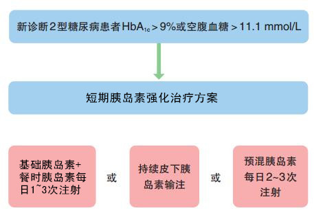 [CDS2013]2013版中国2型糖尿病防治指南:从实