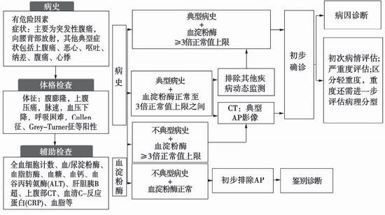 中国急诊急性胰腺炎临床实践指南发布_急诊_