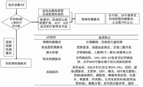 中国急诊急性胰腺炎临床实践指南发布