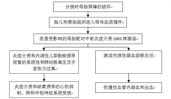 栓塞_羊水栓塞_产科_肺损伤_急性呼吸窘迫综