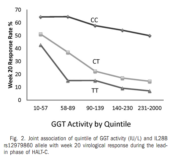 Hepatology:基线GGT水平可独立预测HCV相关晚期肝病病毒学应答和预后.png