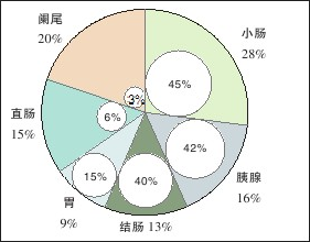 发病率患病率和人口统计学(2)