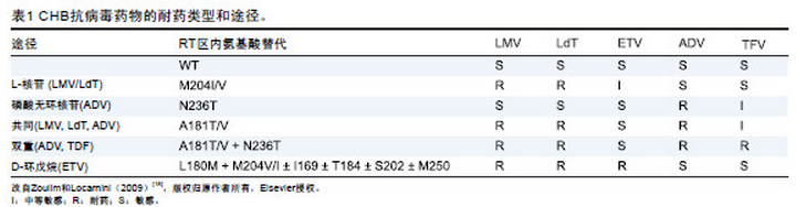 慢性乙型肝炎治疗失败的处理(上) .png