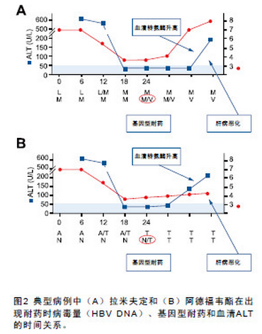 慢性乙型肝炎治疗失败的处理(上) .png