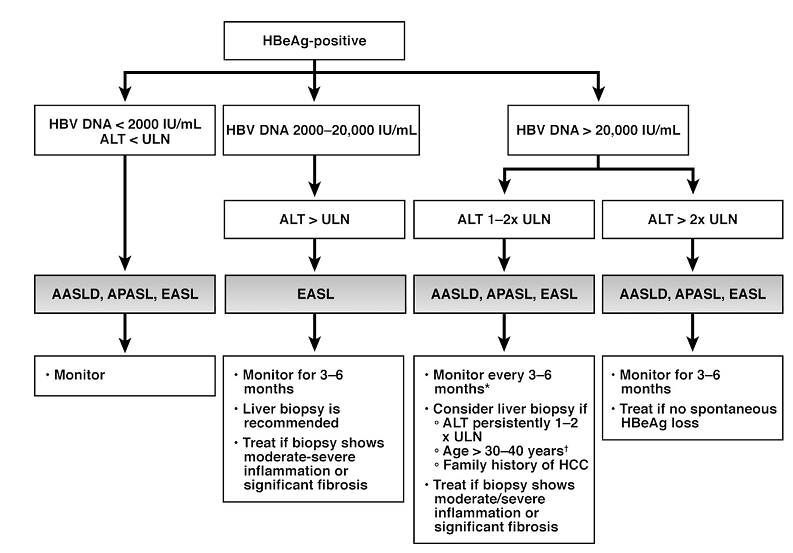 【综述】乙型肝炎的管理:从三大指南到临床实践.png