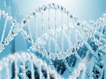 两篇论文发现智力残疾相关的两个新基因_智力