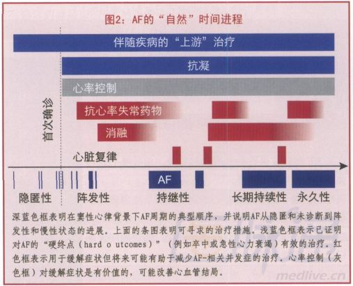 朱俊:欧美对照 新版房颤指南略显保守