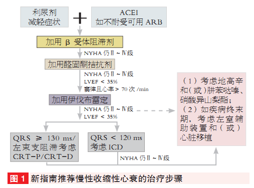 慢性收缩性心衰药物治疗的步骤和路径