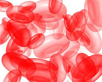 南方医科大学Blood发表地中海贫血研究新发现