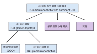 C3肾小球病：新分型！新认识！