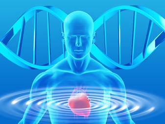 NEJM：APOC3突变降低心血管风险 甘油三酯或从配角变主角