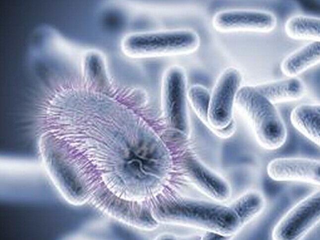 有助于微生物分离鉴定的新设备