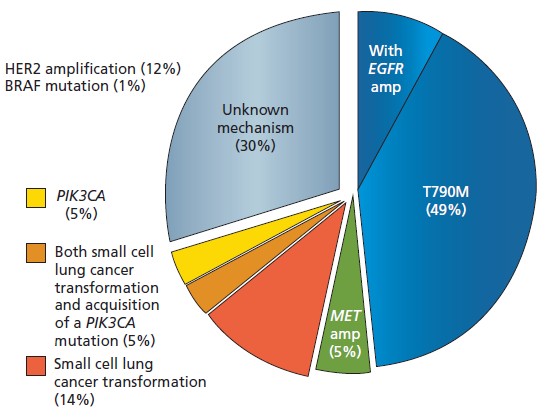 【NCCN2014】非小细胞肺癌治疗值得关注的