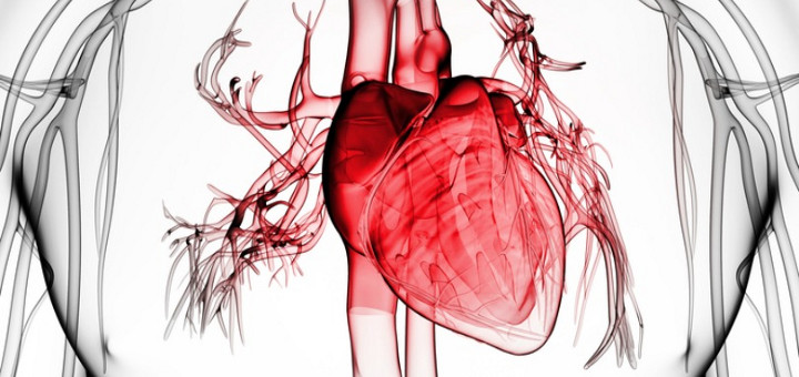 专家视点:如何治疗射血分数下降的心衰?