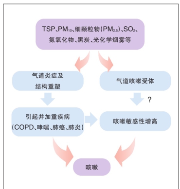 咳嗽的原理是什么意思_正常咳嗽痰是什么颜色(2)