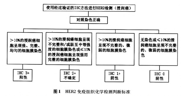 乳腺癌HER2检测指南(2014版)