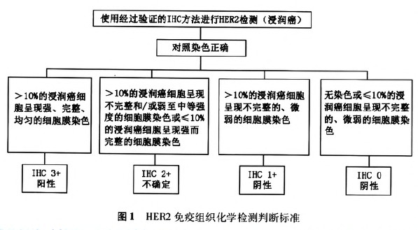 乳腺癌HER2检测指南(2014版)