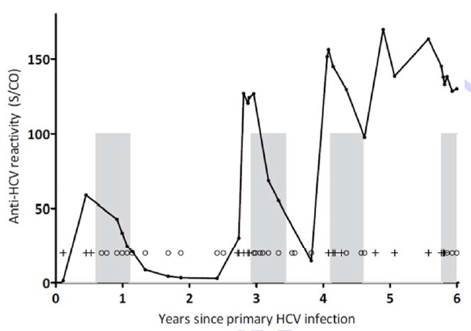 CV抗体下降与RNA清除相关_HIV_HCV_RNA清