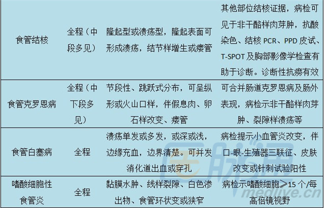 各类食管溃疡特点汇总(图表)