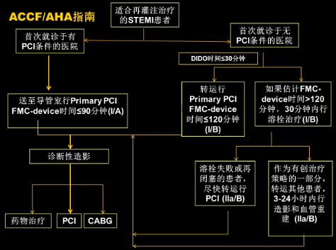 [GWICC2014]杨新春:STEMI救治--解读指南,再