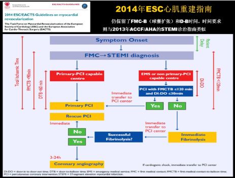 [GWICC2014]杨新春:STEMI救治--解读指南,再